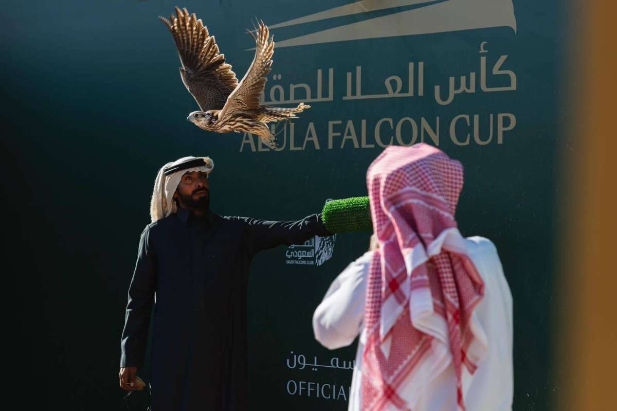 كأس العلا للصقور