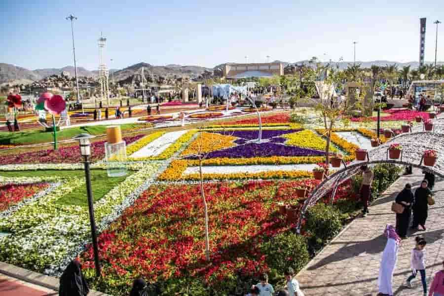 الطائف 2023