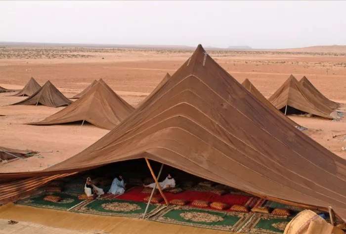 رحلات التخييم ببيوت الشعر في الشتاء.. عمق البادية والصحراء وتراثاً حياً لا يستغني عنه السعوديين