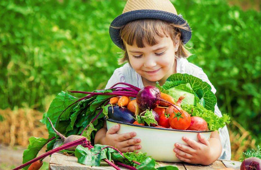أفضل الفيتامينات والمعادن للأطفال لزيادة الوزن