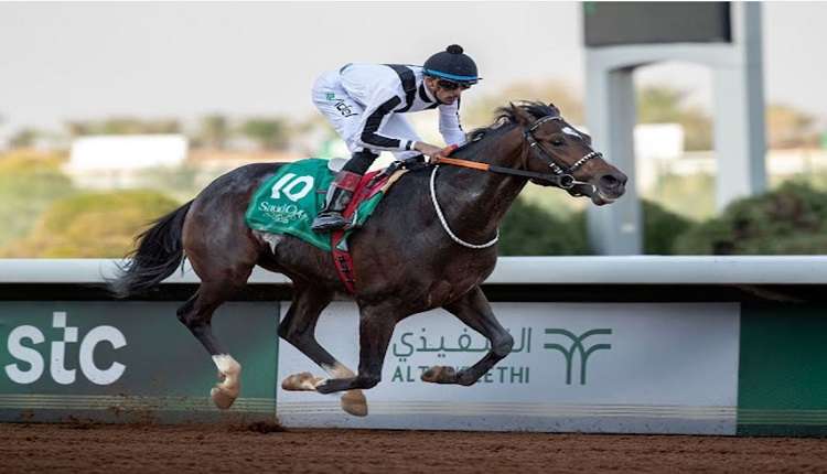 سباقات الخيل