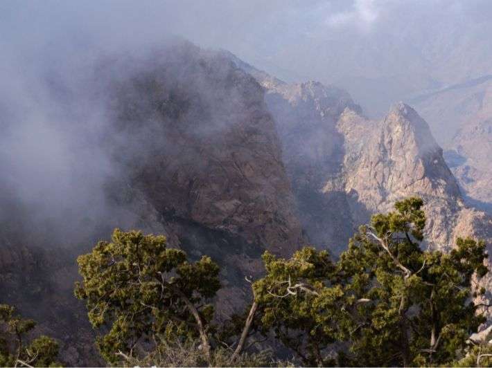 محمية