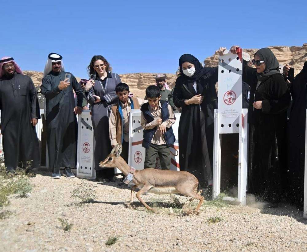 محمية الوعول