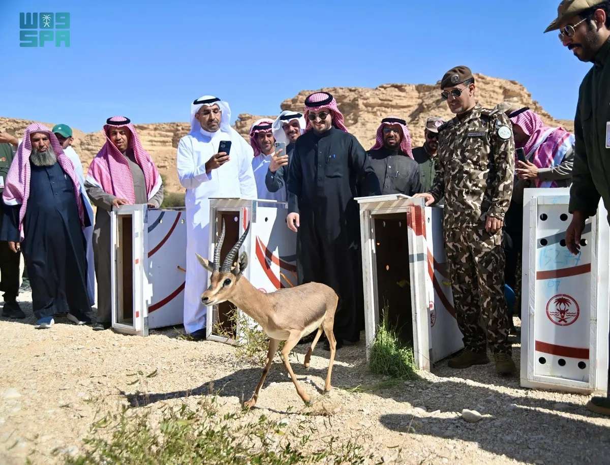 محمية الوعول
