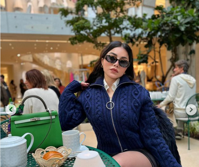 الفنان هيفاء وهبي