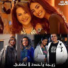 مسلسل زوجة واحدة لا تكفي