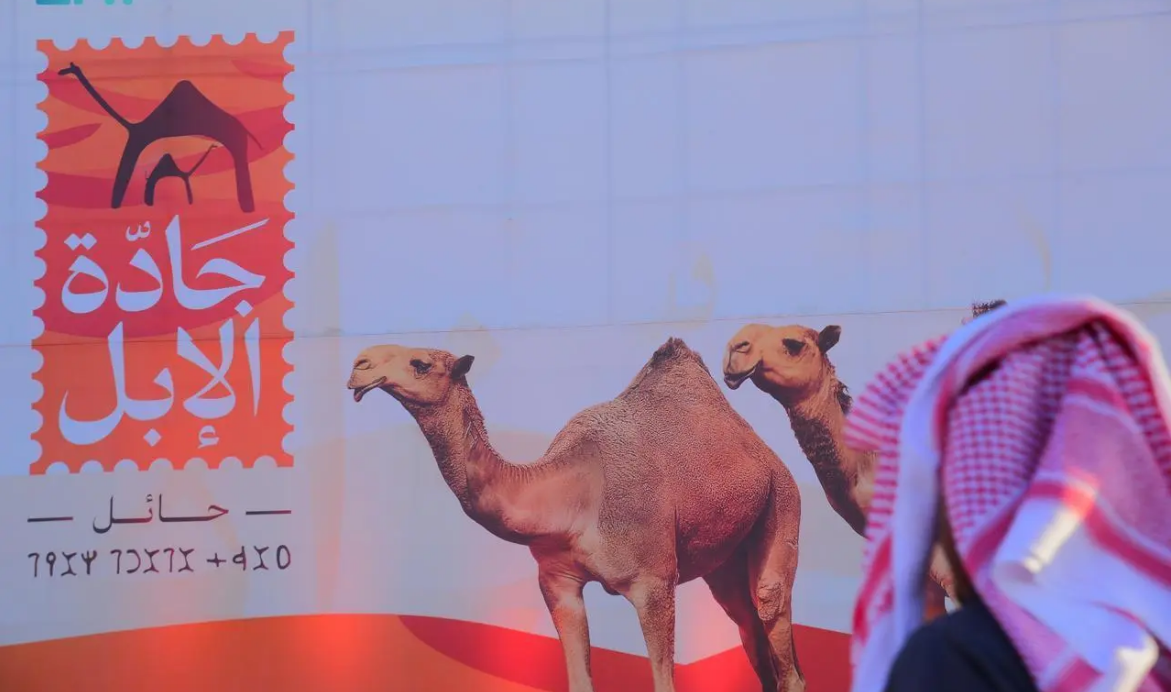 مهرجان جادة الإبل
