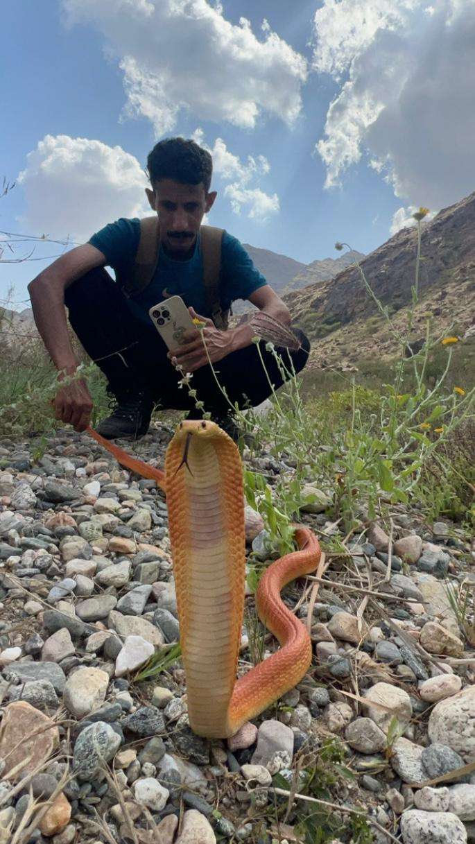 نايف المالكي