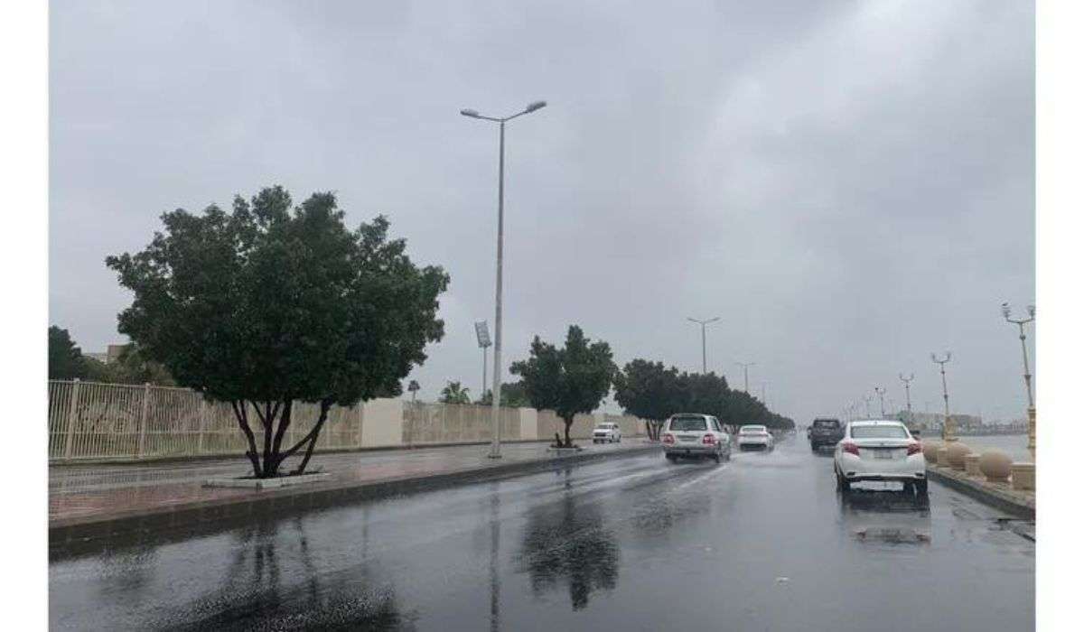 حالة الطقس اليوم السبت في المملكة