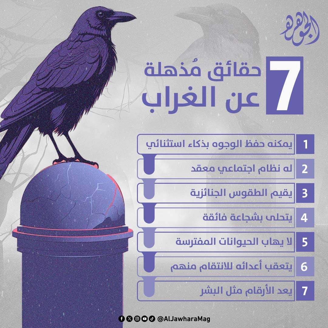 6 حقائق مذهلة عن حياة الغراب