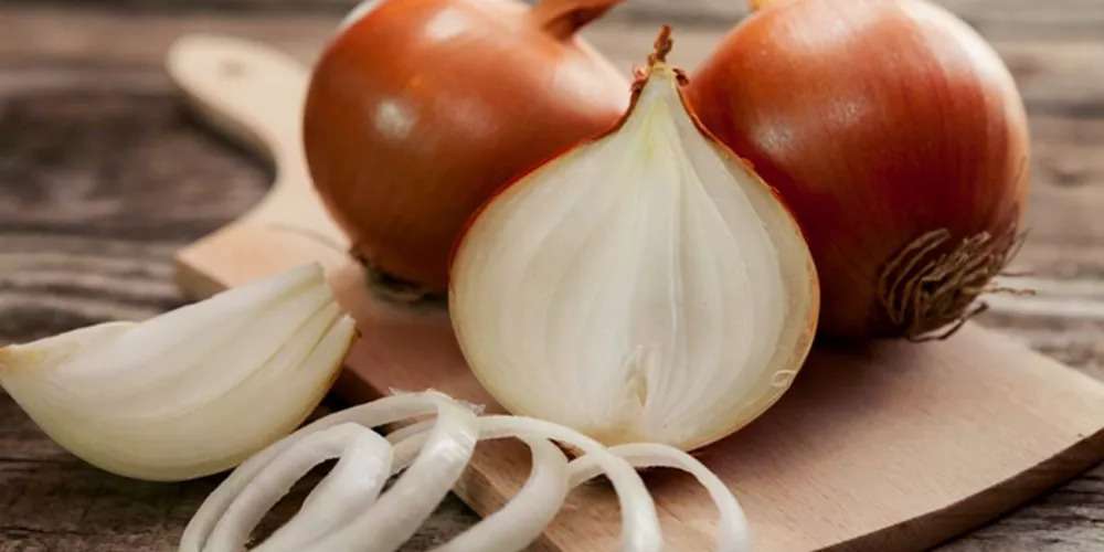 فوائد صحية لتناول البصل