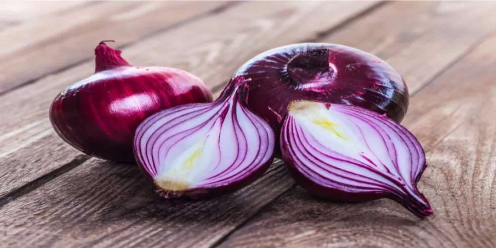 4 فوائد صحية لتناول البصل