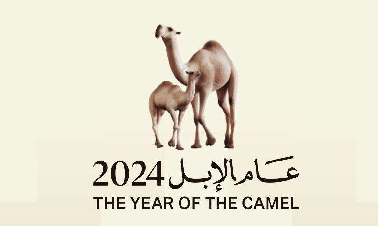 منحة دراسات الإبل بـ6 مجالات رئيسة.
