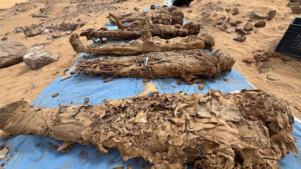 مصر.. اكتشاف مدينة موتى ضخمة تحوي أثارًا لأمراض معدية بمحافظة أسوان